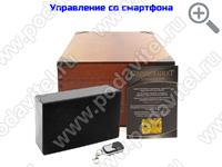 Акустический сейф SPY-box Шкатулка-3 VIP-Tuya